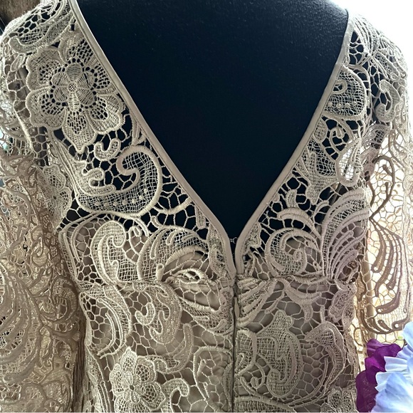 Adrianna Papell Elegant Palest Beige Lace Overlay Back Zip 3/4 Sleeves Dress 10 - Picture 9 of 11